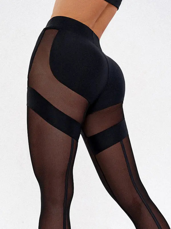 Livia 1012 Fileli Yüksek Bel Kalça Kaldırıcı Tayt Livia Bliss